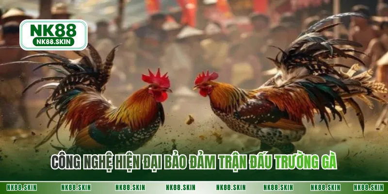Công nghệ hiện đại bảo đảm trận đấu trường gà 