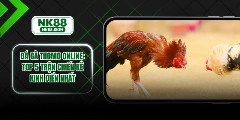 Đá Gà Thomo Online - Top 5 Trận Chiến Kê Kinh Điển Nhất